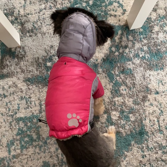 Dog jacket - Picture 3 of 4